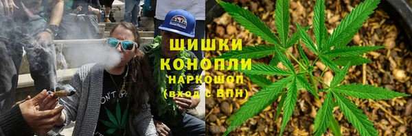 трава Горно-Алтайск