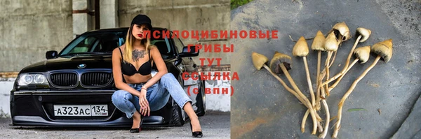 Альфа ПВП Горнозаводск