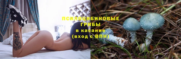 метамфетамин Гусь-Хрустальный