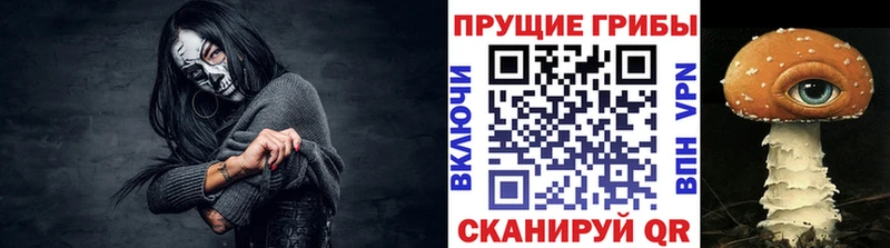Купить закладки  Льгов  Псилоцибиновые грибы ЛСД 